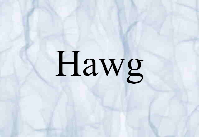 Hawg (noun) Definition, Meaning & Examples