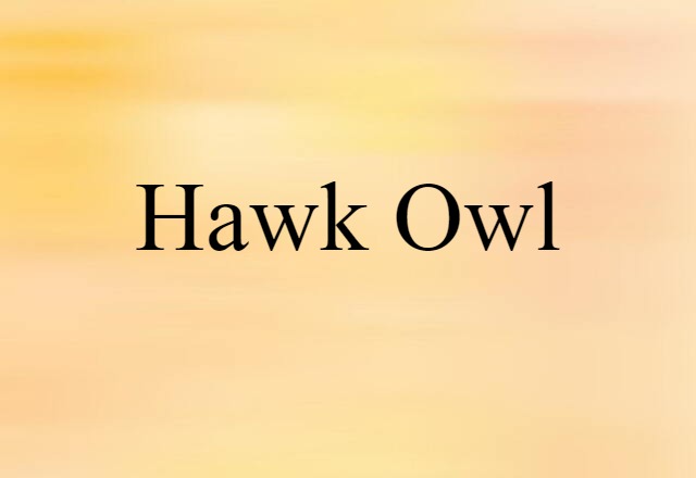 hawk owl