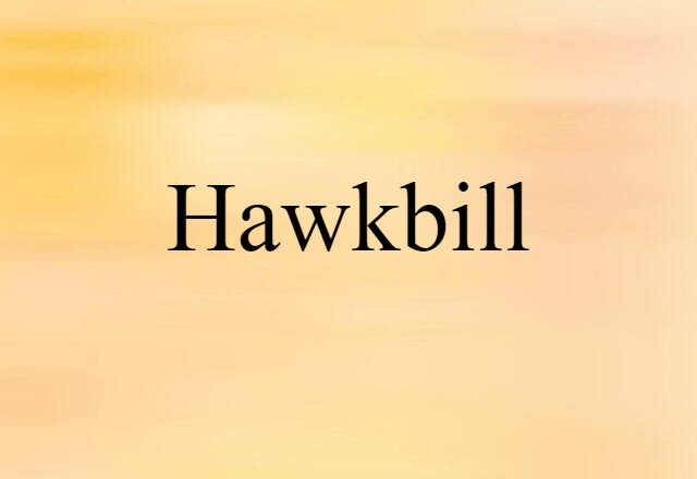 hawkbill