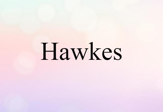 Hawkes (noun) Definition, Meaning & Examples