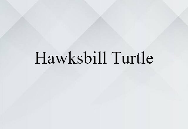 Hawksbill Turtle (noun) Definition, Meaning & Examples