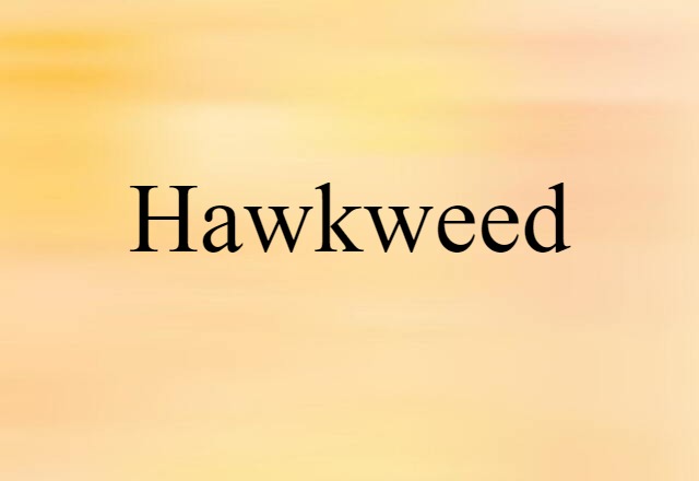 hawkweed