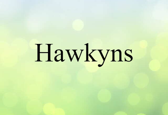 Hawkyns (noun) Definition, Meaning & Examples