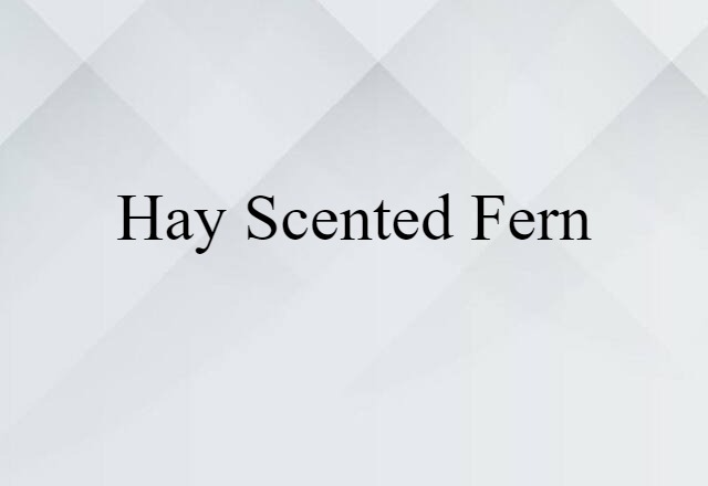 hay scented fern