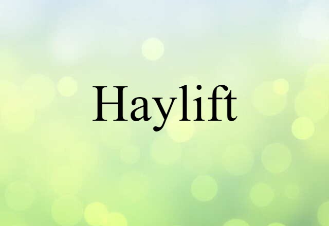 Haylift (noun) Definition, Meaning & Examples