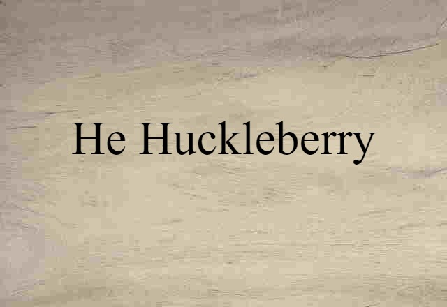 He-huckleberry (noun) Definition, Meaning & Examples