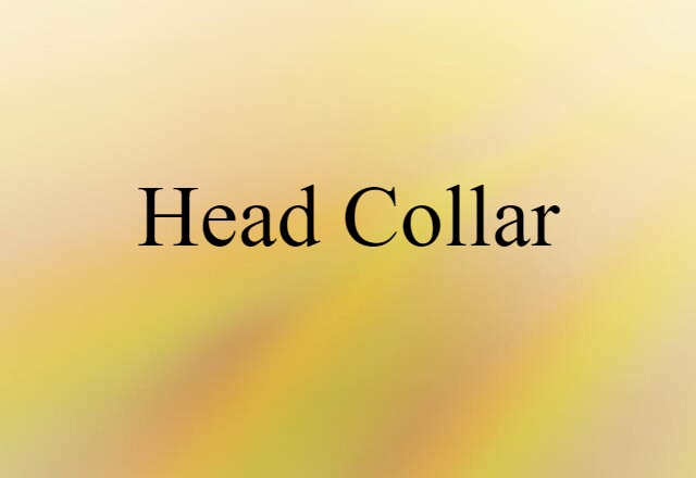 Head Collar (noun) Definition, Meaning & Examples