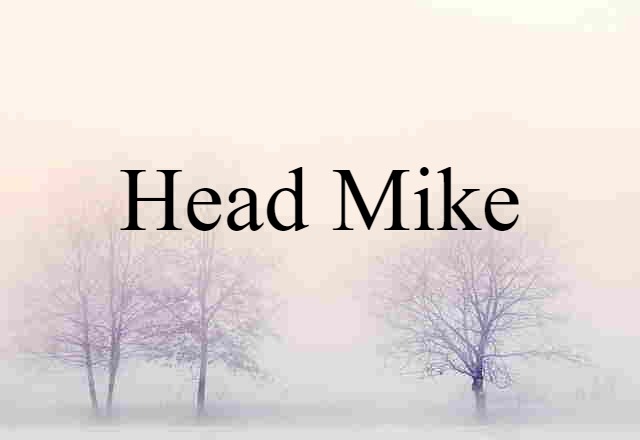 head mike