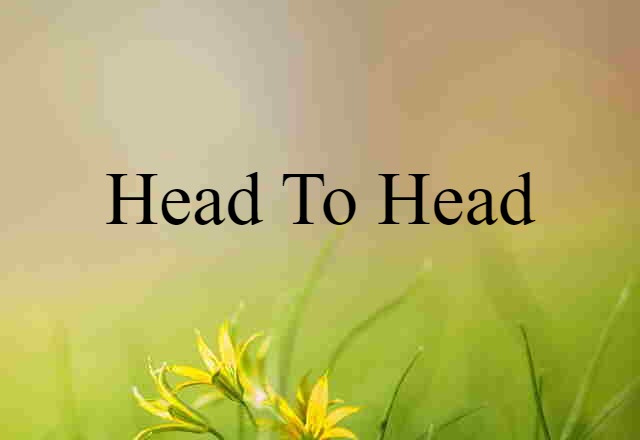 Head To Head (noun) Definition, Meaning & Examples