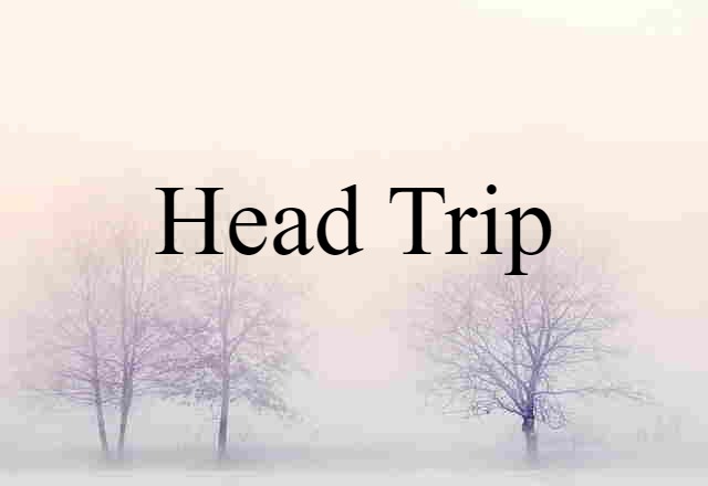 Head Trip (noun) Definition, Meaning & Examples