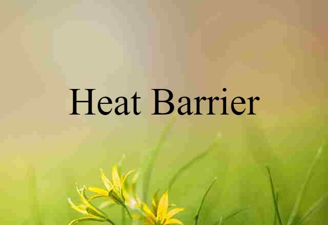 Heat Barrier (noun) Definition, Meaning & Examples