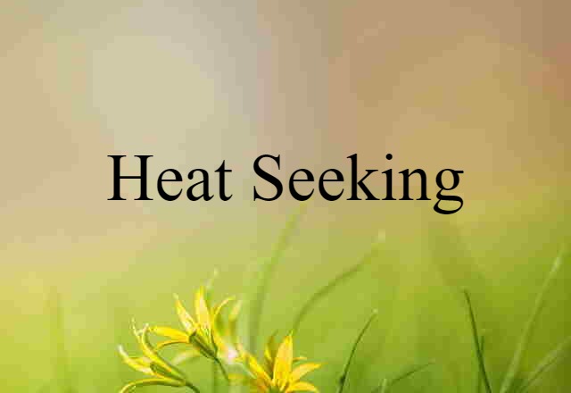 Heat-seeking (noun) Definition, Meaning & Examples