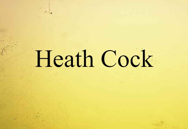 Heath Cock (noun) Definition, Meaning & Examples