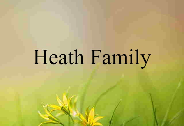 heath family