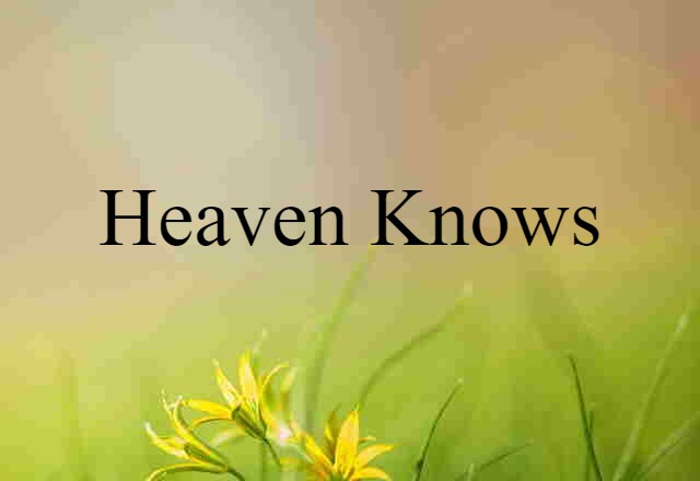 Heaven Knows (noun) Definition, Meaning & Examples