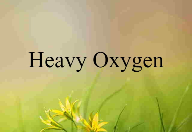 Heavy Oxygen (noun) Definition, Meaning & Examples