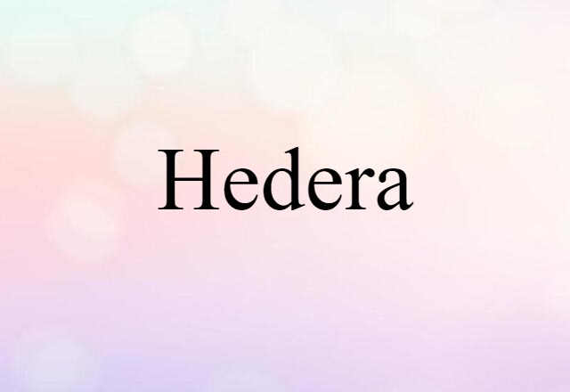 Hedera (noun) Definition, Meaning & Examples