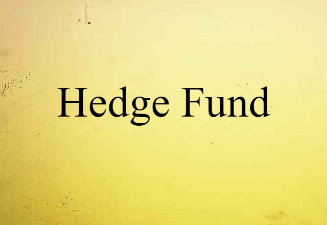 Hedge Fund (noun) Definition, Meaning & Examples