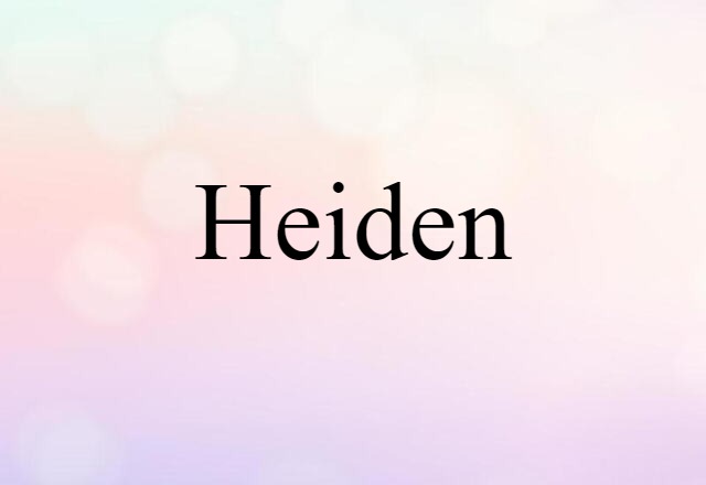 Heiden (noun) Definition, Meaning & Examples