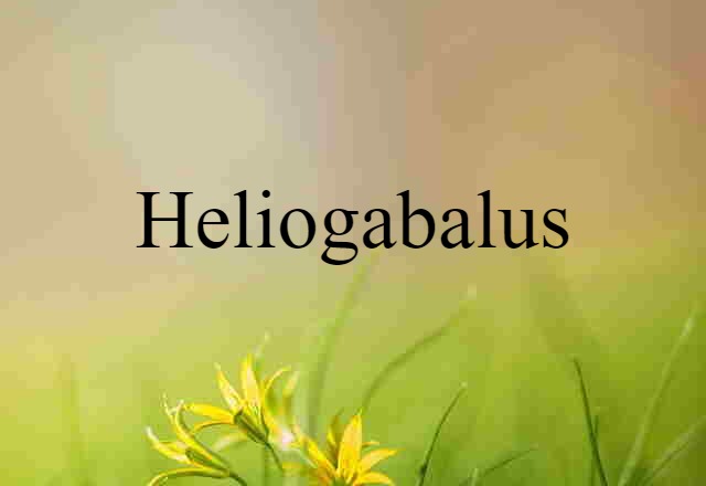 Heliogabalus (noun) Definition, Meaning & Examples