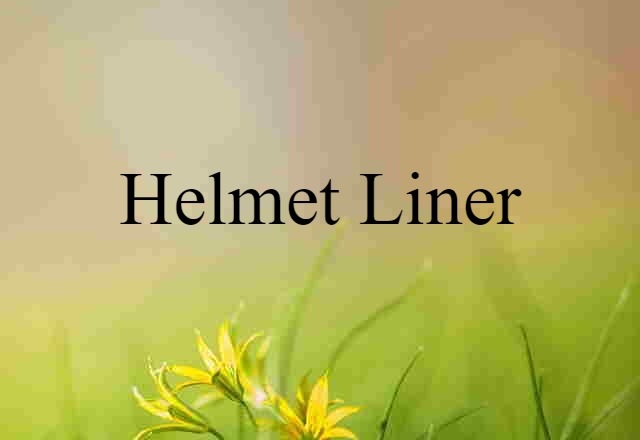 Helmet Liner (noun) Definition, Meaning & Examples