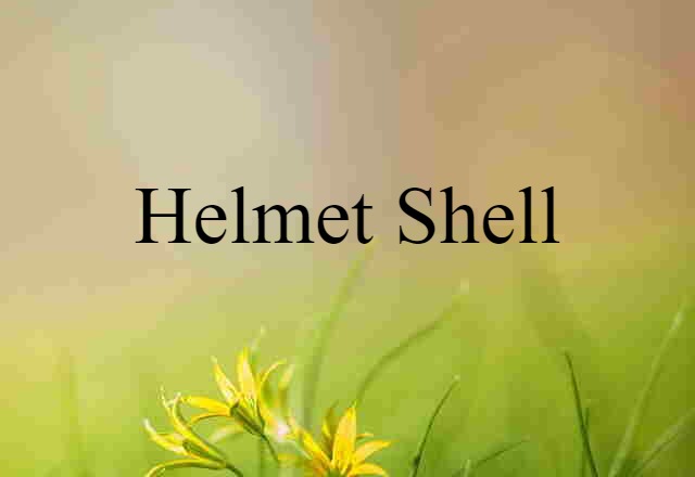 helmet shell