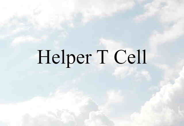 helper T cell