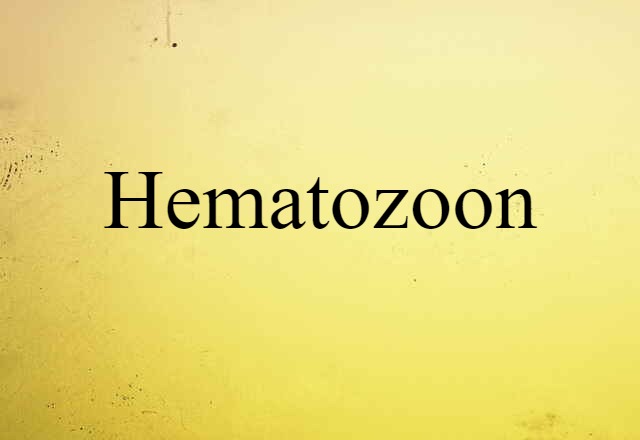 hematozoon