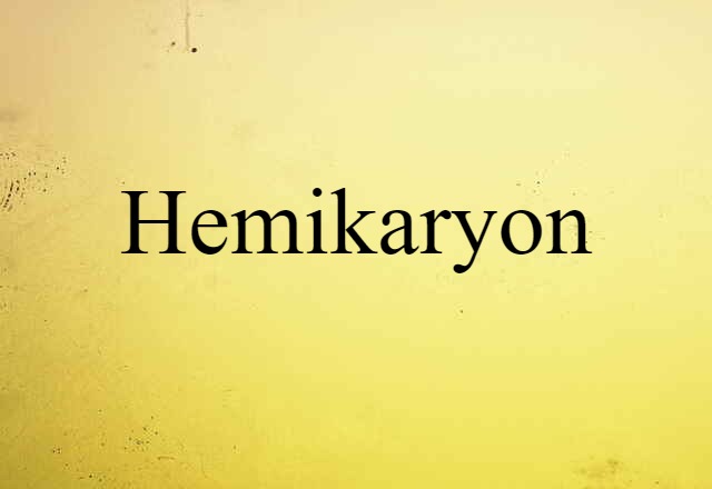 Hemikaryon (noun) Definition, Meaning & Examples