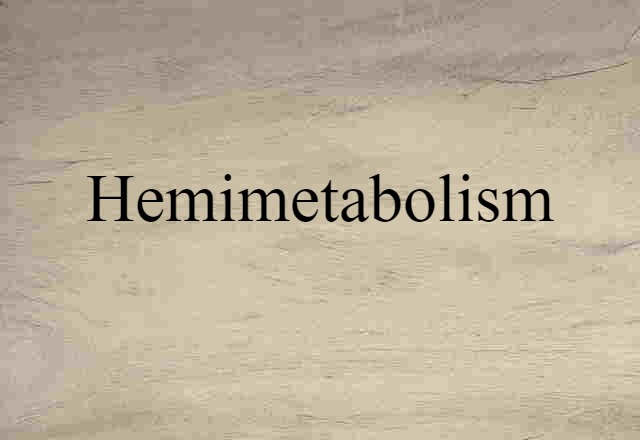 hemimetabolism