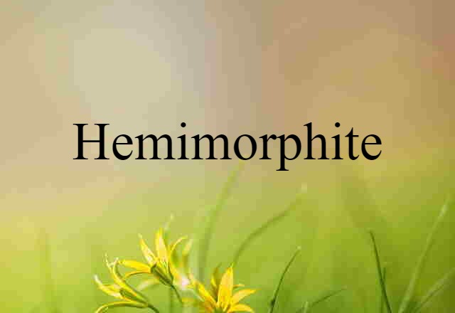 Hemimorphite (noun) Definition, Meaning & Examples