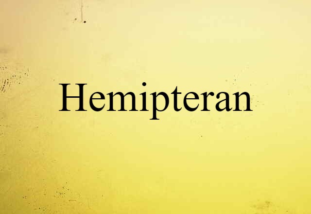 hemipteran