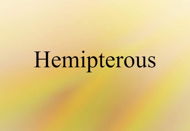 Hemipterous (noun) Definition, Meaning & Examples