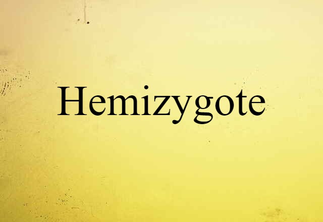 hemizygote