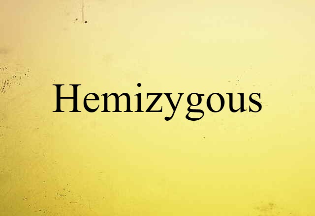 hemizygous