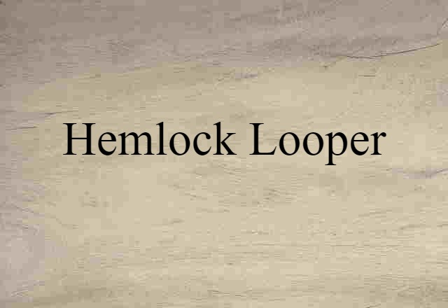 Hemlock Looper (noun) Definition, Meaning & Examples