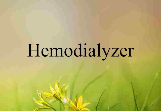 Hemodialyzer (noun) Definition, Meaning & Examples