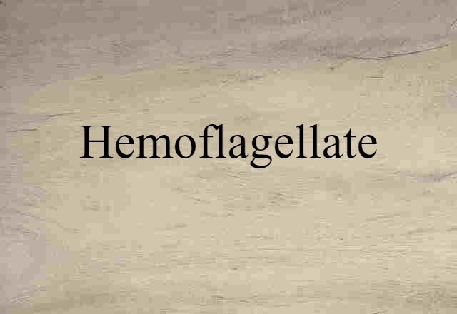 hemoflagellate