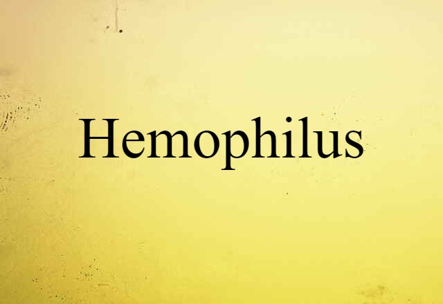 Hemophilus (noun) Definition, Meaning & Examples