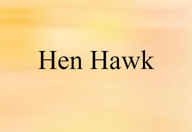 hen hawk