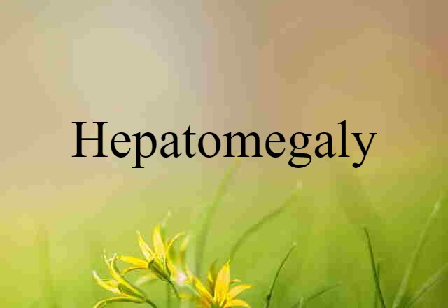 Hepatomegaly (noun) Definition, Meaning & Examples