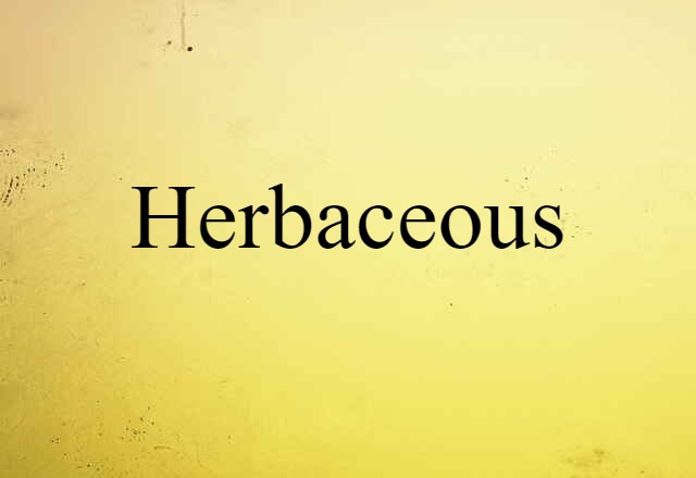 Herbaceous (noun) Definition, Meaning & Examples