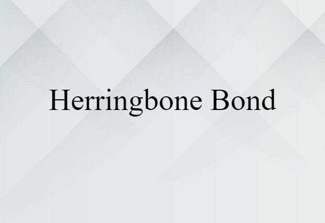 Herringbone Bond (noun) Definition, Meaning & Examples