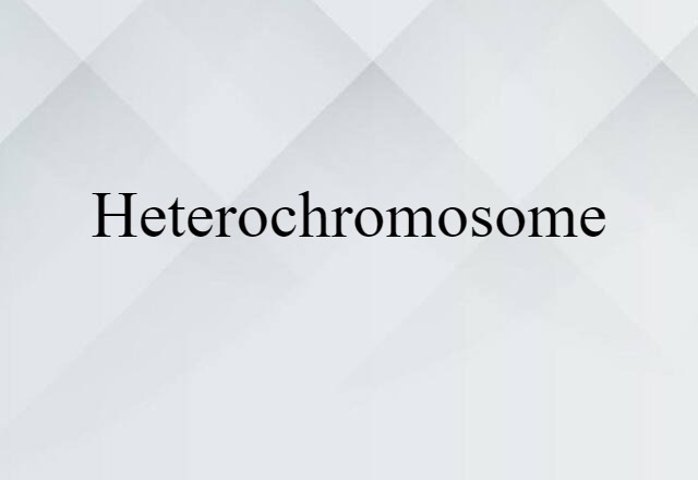 heterochromosome