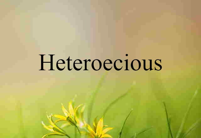 Heteroecious (noun) Definition, Meaning & Examples