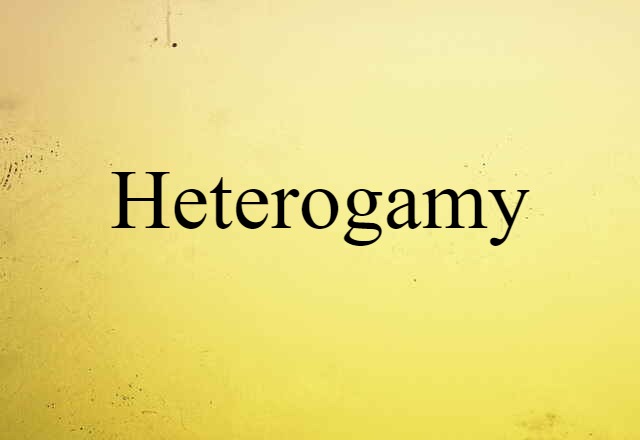 Heterogamy (noun) Definition, Meaning & Examples