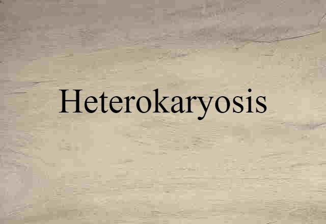 Heterokaryosis (noun) Definition, Meaning & Examples