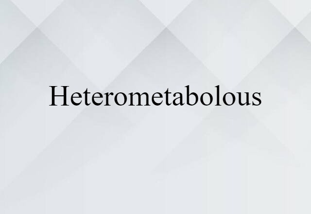 Heterometabolous (noun) Definition, Meaning & Examples