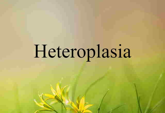 Heteroplasia (noun) Definition, Meaning & Examples