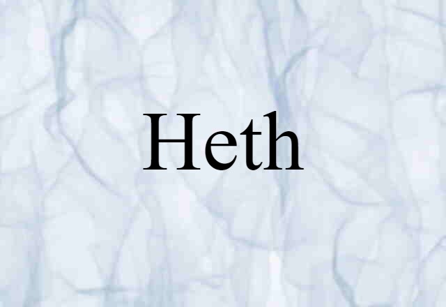 Heth (noun) Definition, Meaning & Examples